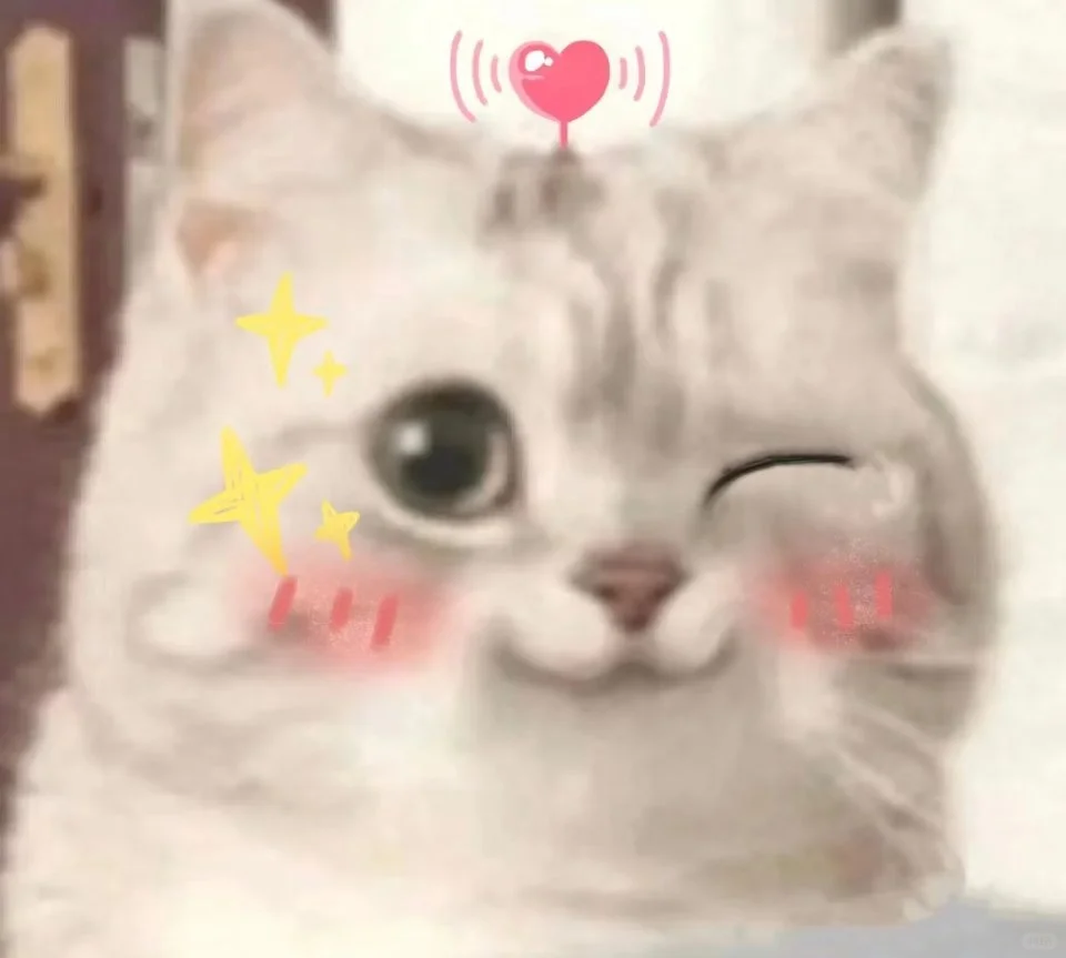 甜甜的猫猫表情包又来啦！