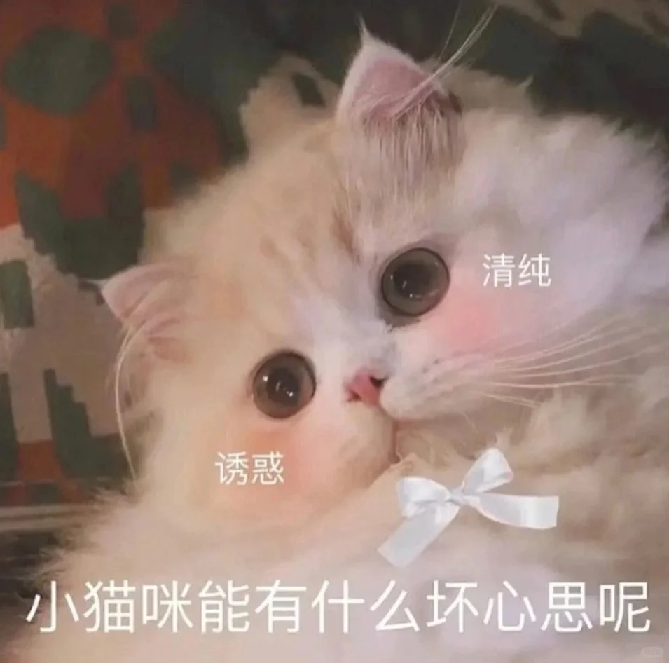 甜甜的猫猫表情包又来啦！