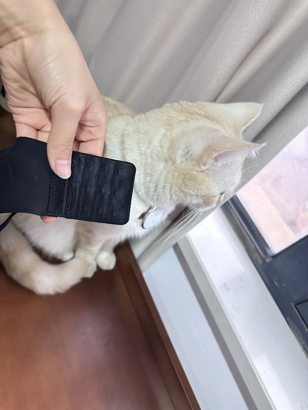 小胸聚拢内衣天花板！！！（秋冬新品）