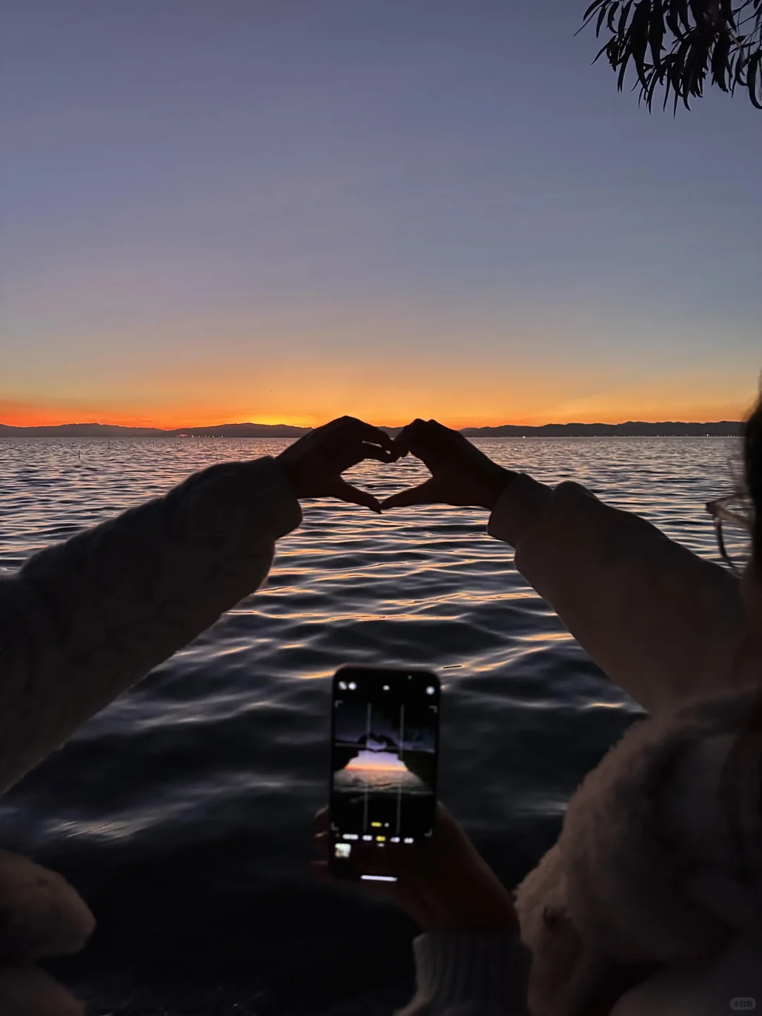 18张爆款live 图 | 高清未使用 喜欢拿