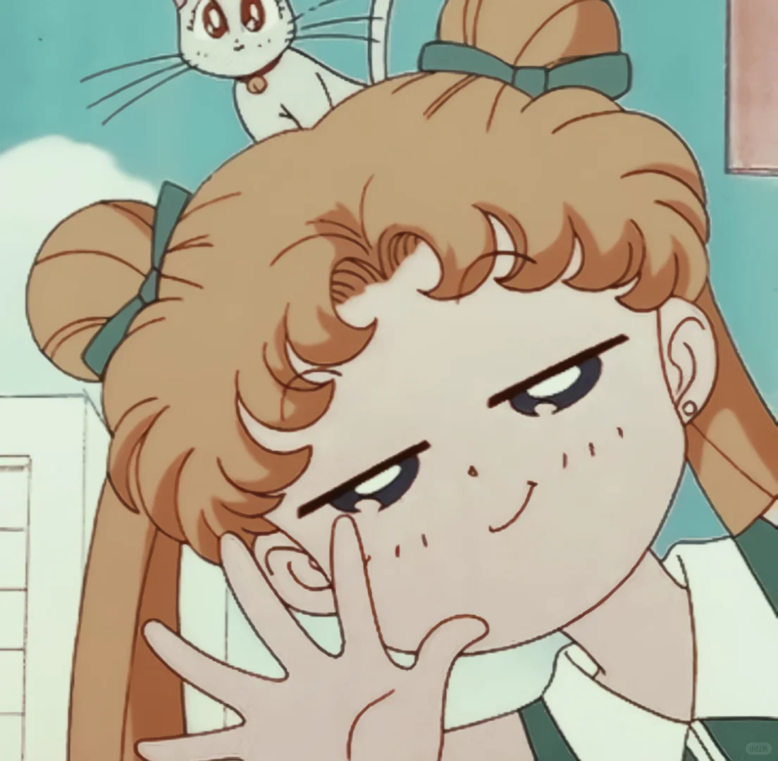 表情帝 月野兔的十八张面孔