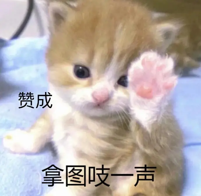 真的好喜欢这个表情包啊啊啊啊阿