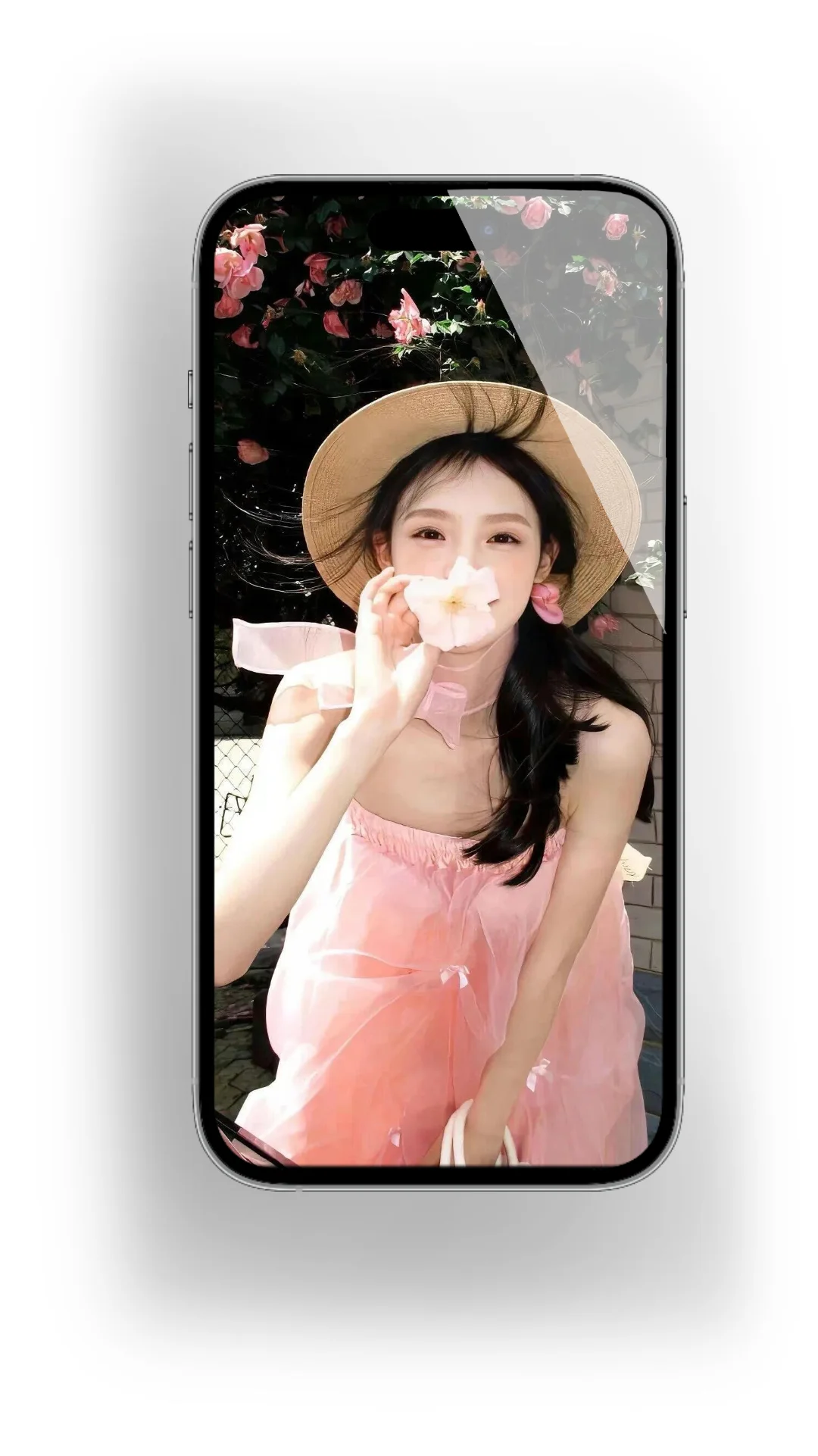 share｜手机壁纸该换了