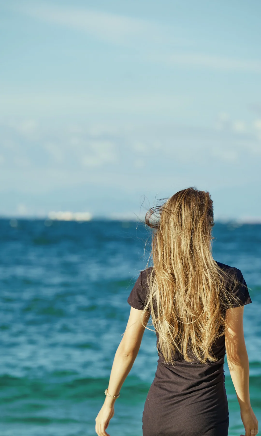 Summer by the Shore 📷