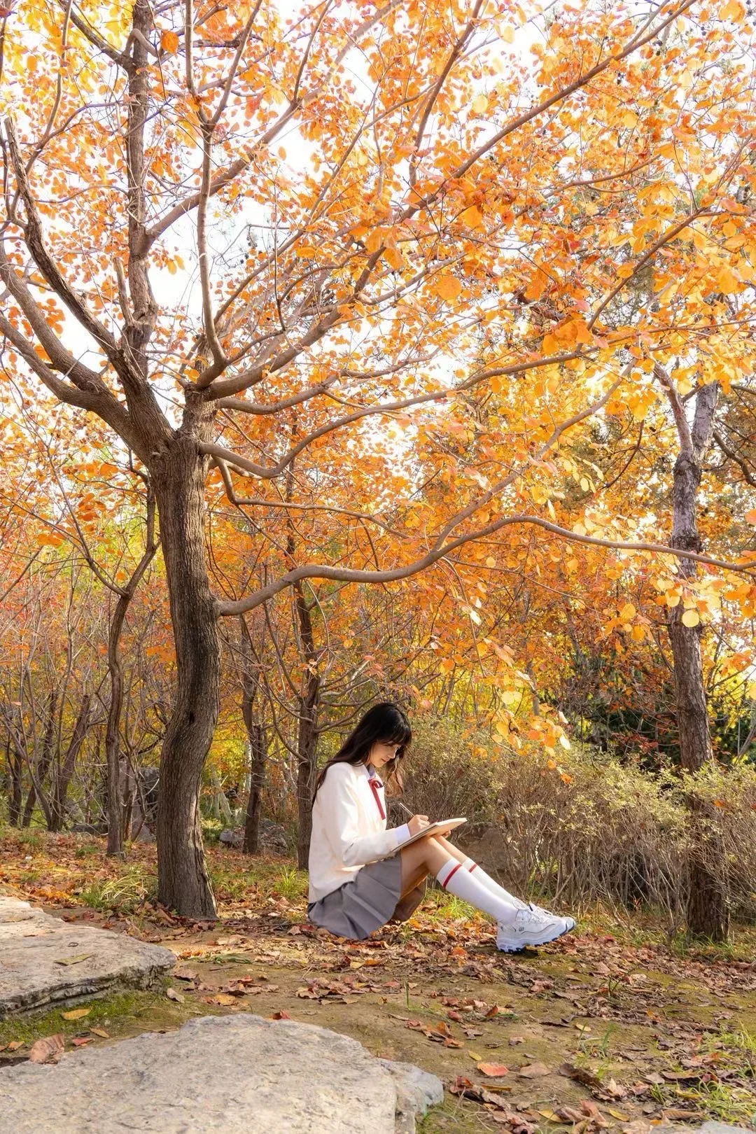 郑州蹲蹲合作模特