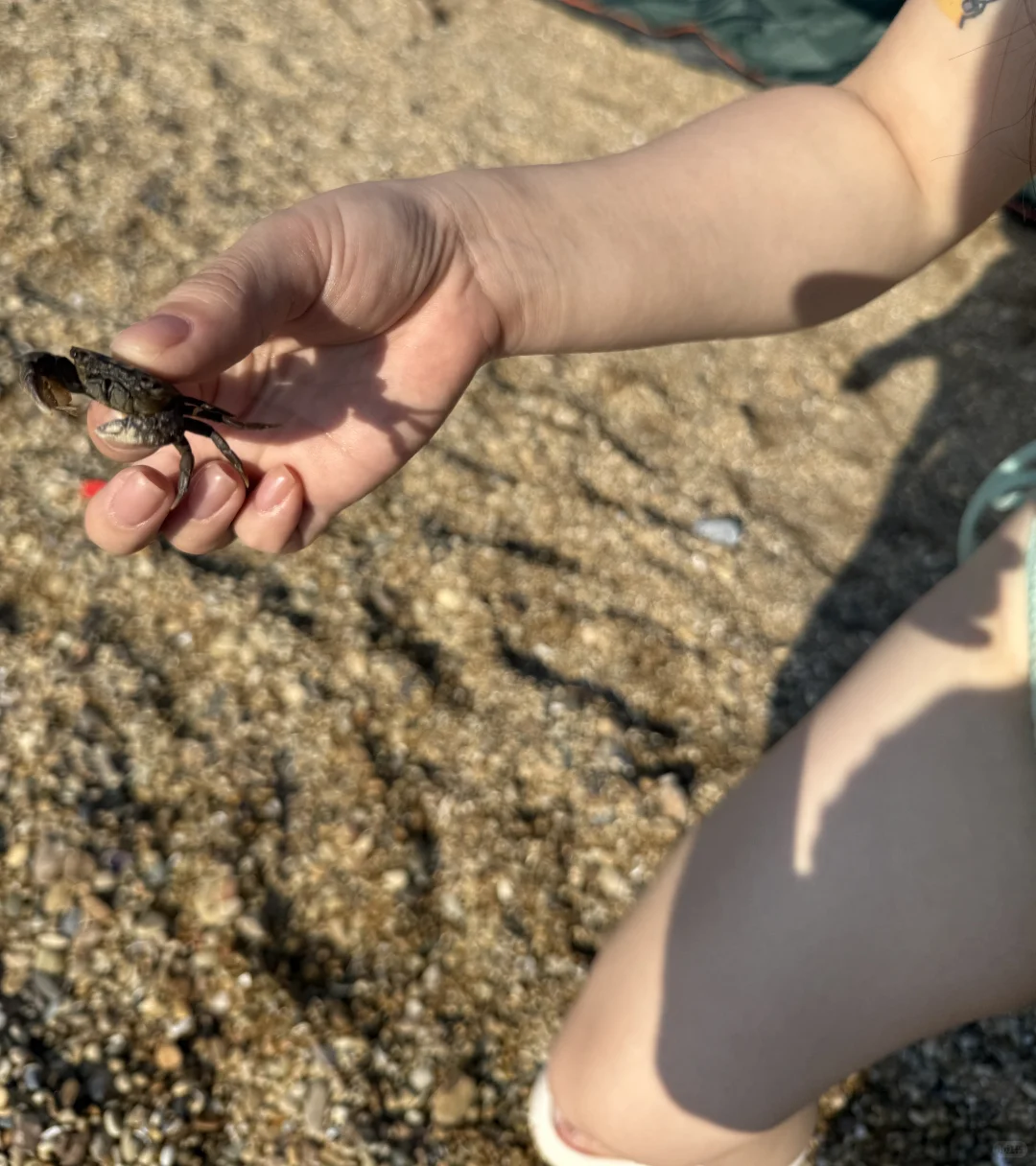 𓇼去海边啦 ོ 𓊝 ｜.🐚