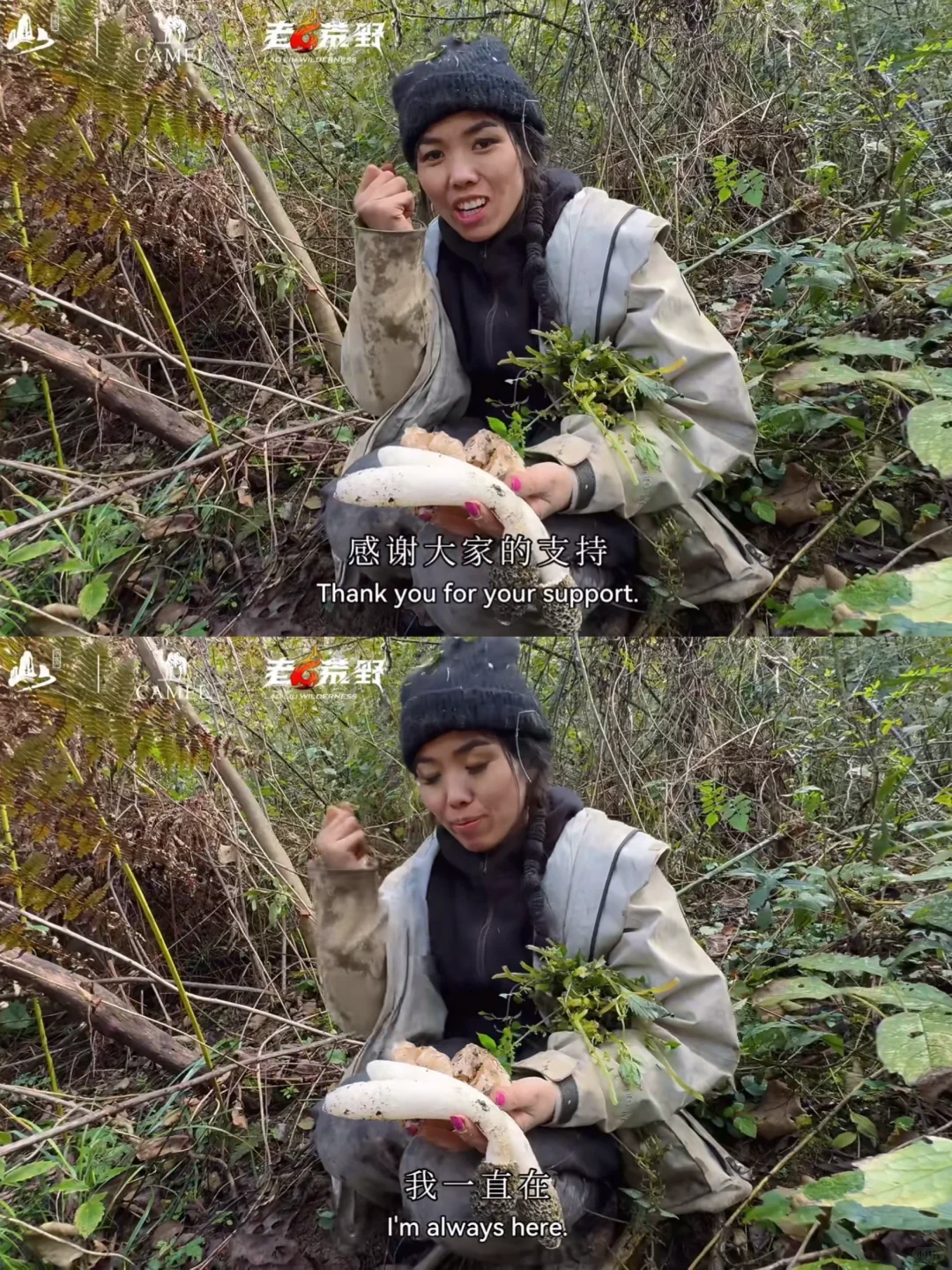 被《荒野求生》冷美人戳哭了｜内核太强大了