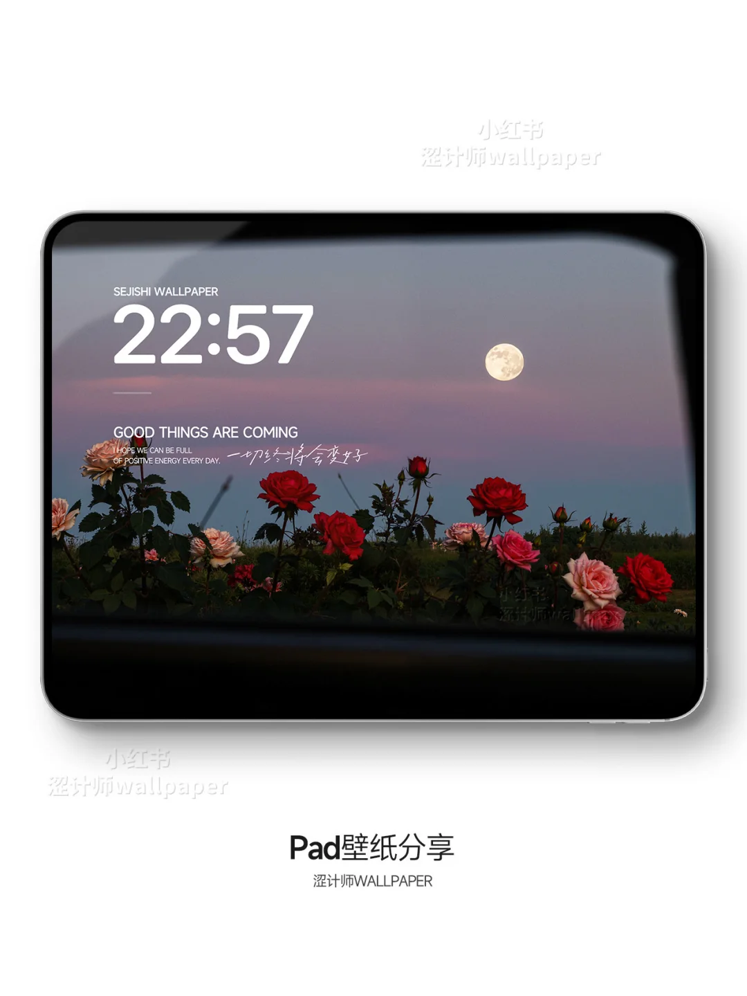 “玫瑰与月光”氛围感平板壁纸｜A209