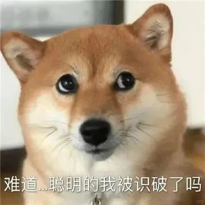 实用表情包5.0｜近期爱用分享