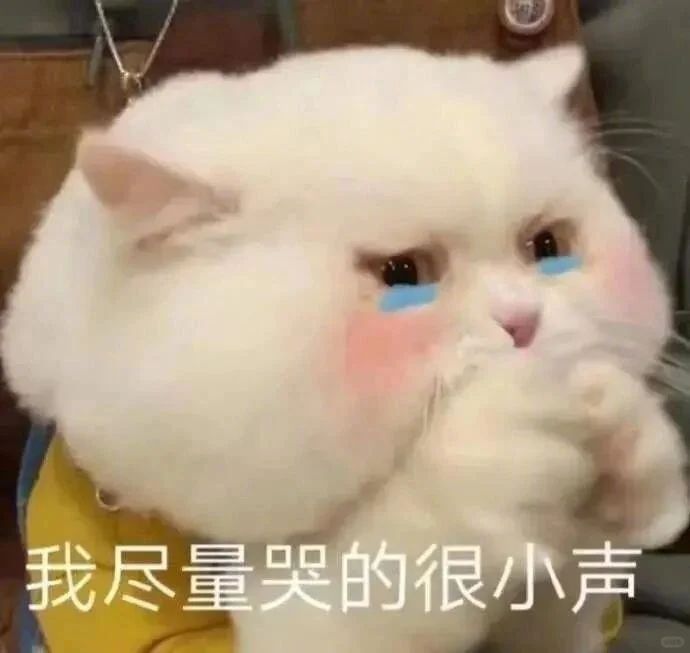 甜甜的猫猫表情包又来啦！