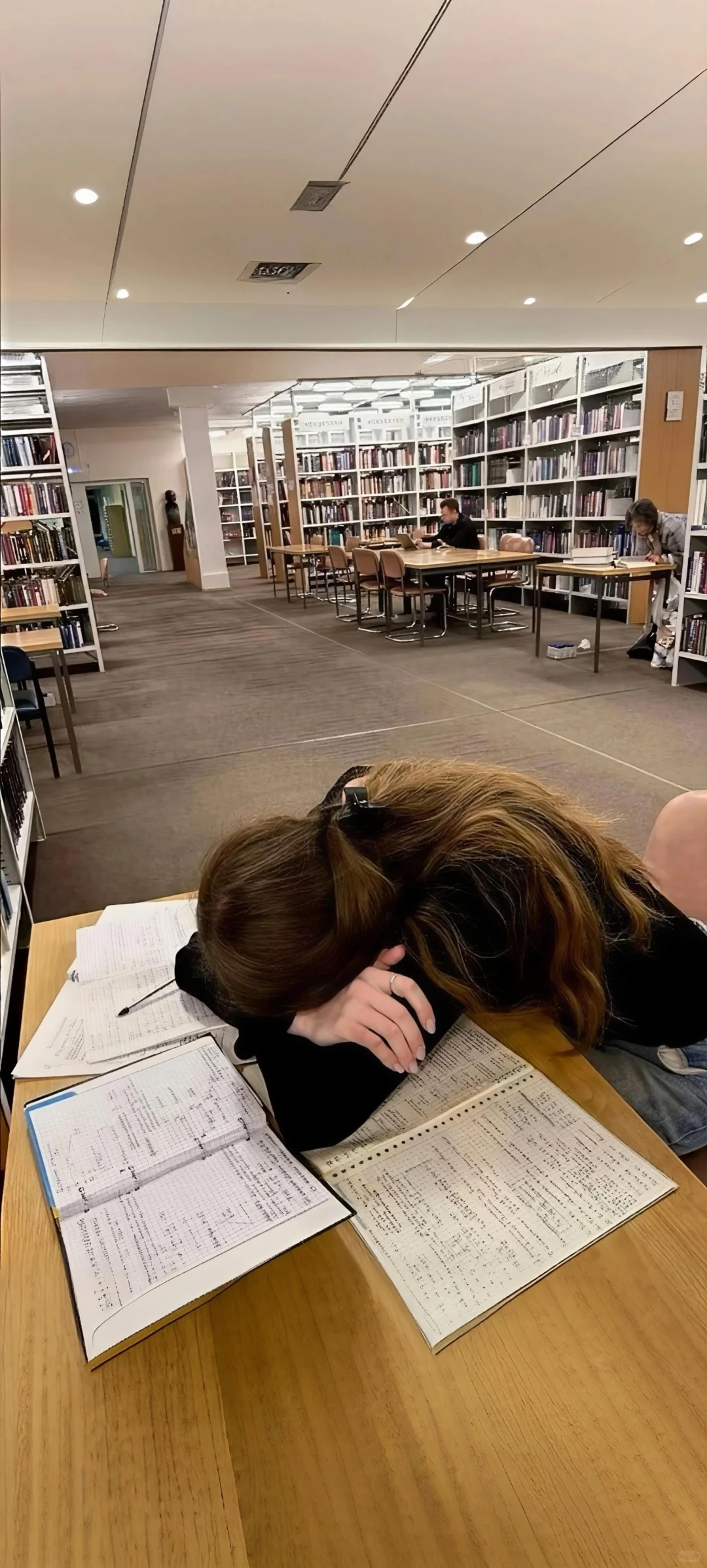 高能量壁纸｜📖努力的人运气不会太差