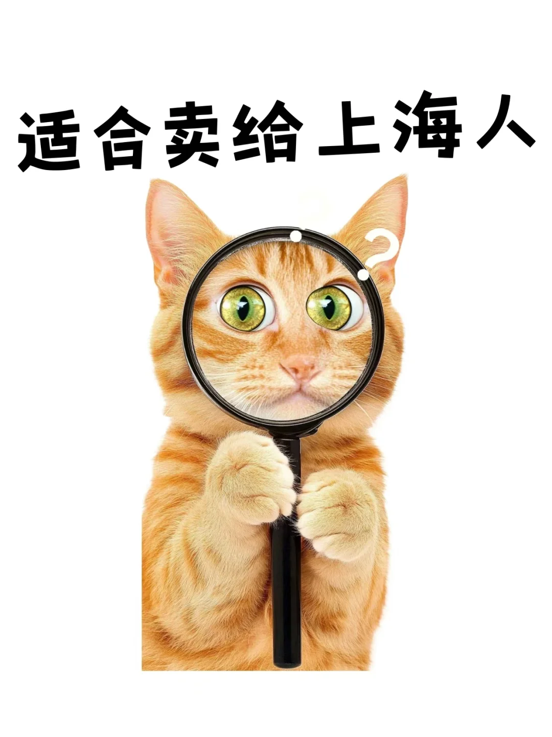 8月热梗表情🔥，马上更新你的新鲜表情