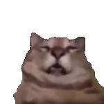 表情包/跟让你快乐的人在一起友谊爱情都是