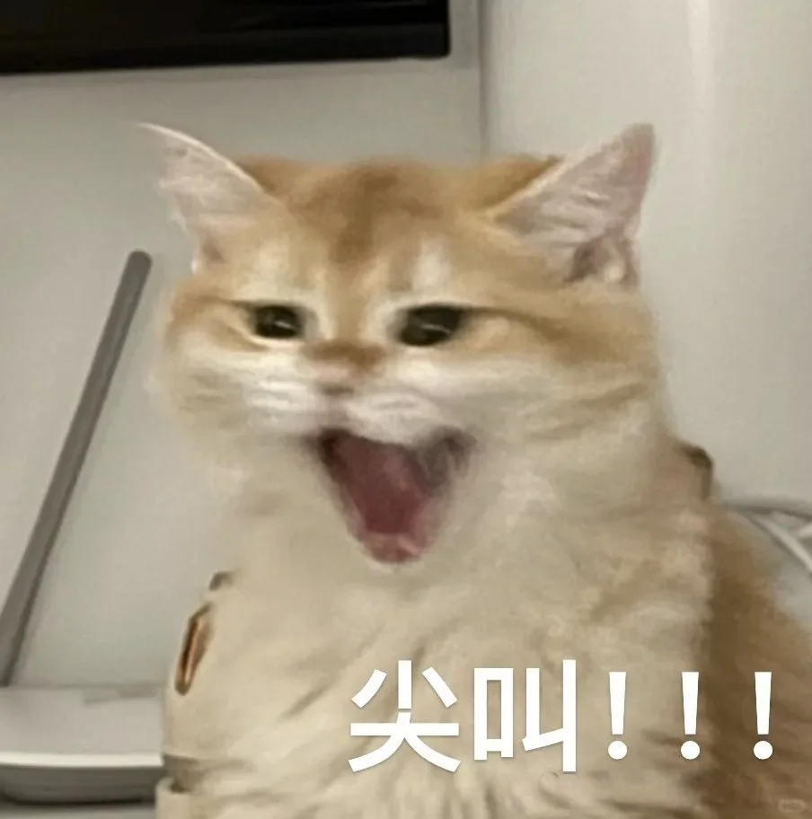 表情包｜尖叫！！！