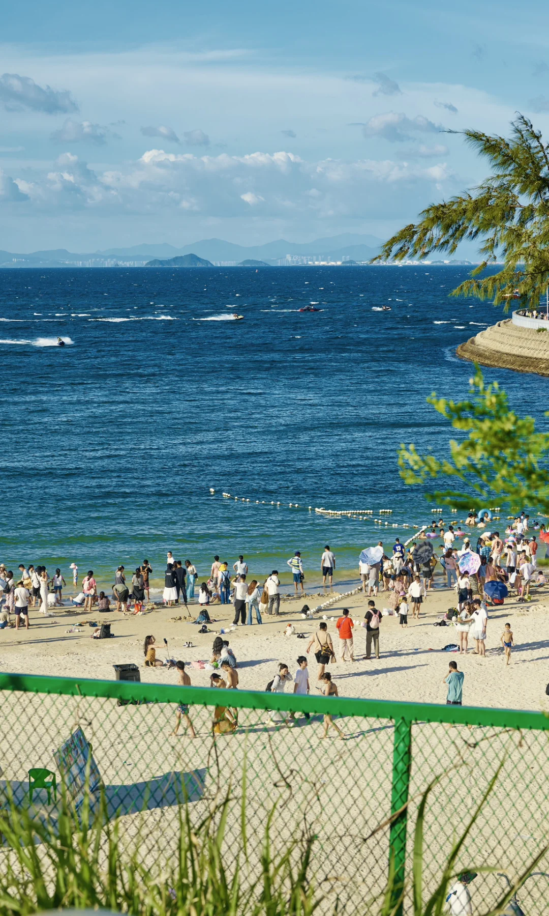 Summer by the Shore 📷