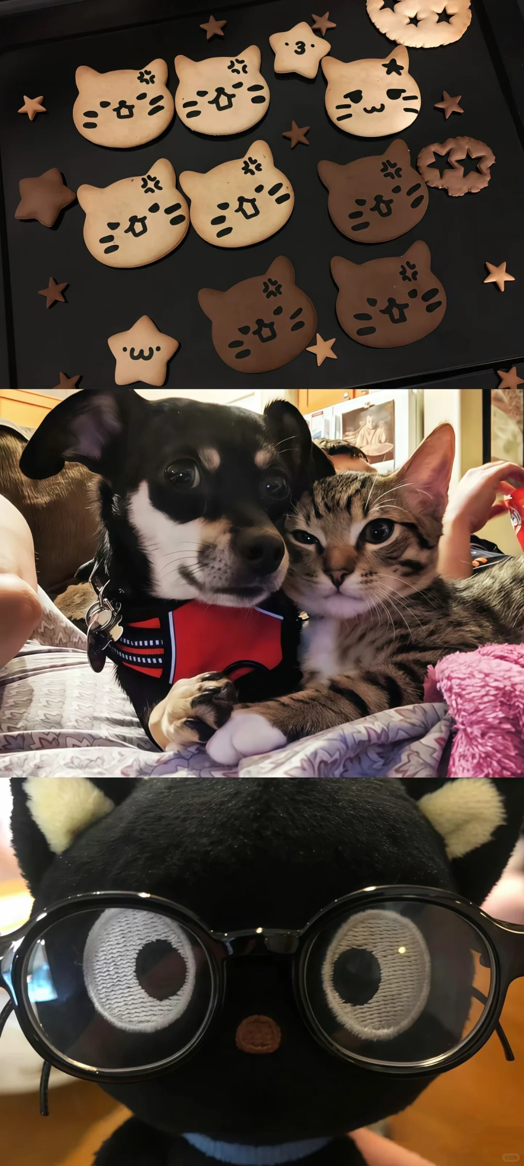 share🍥|可爱壁纸⊹✮₊⋆