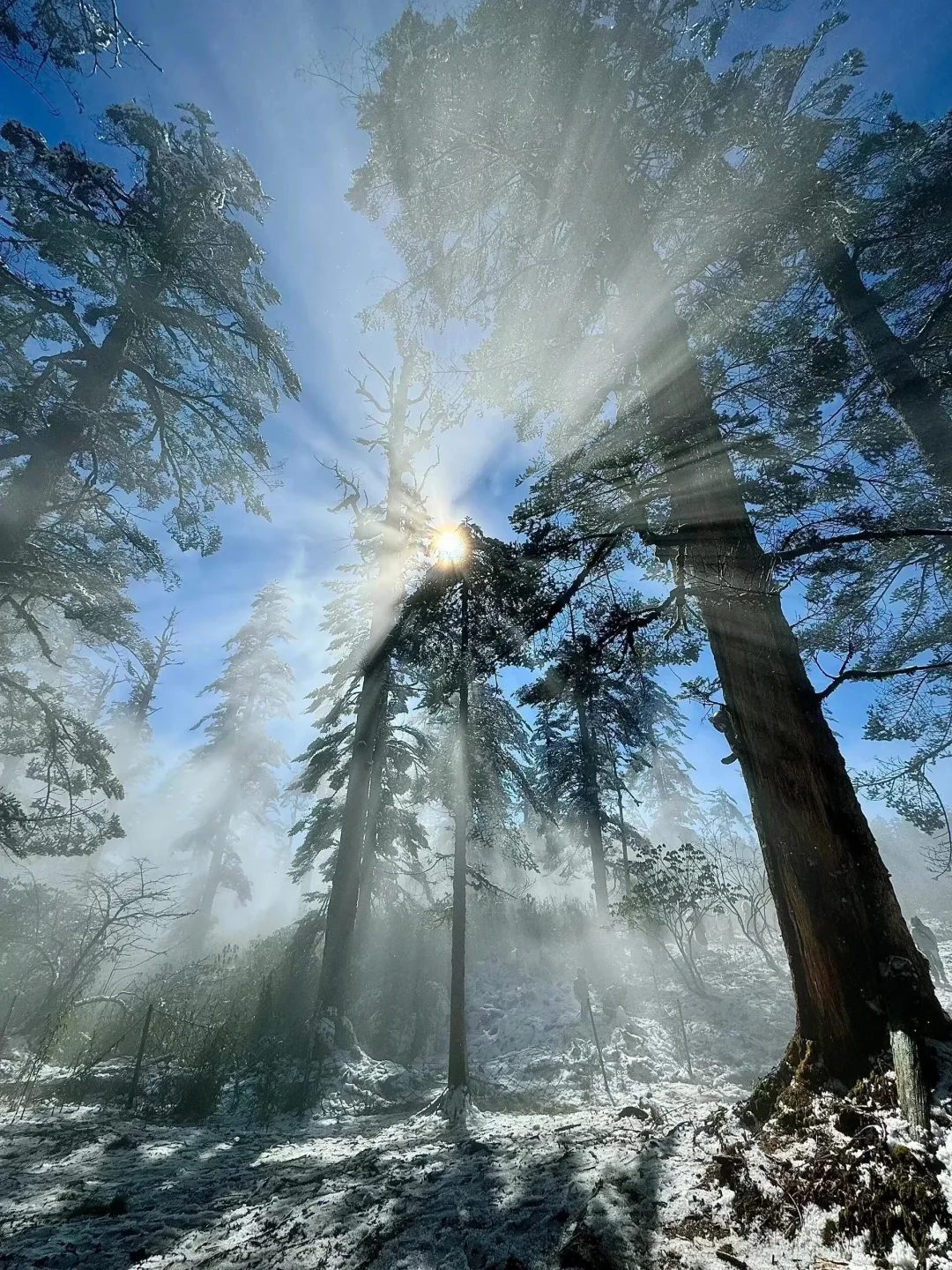 18张爆款live 图 | 高清未使用 喜欢拿