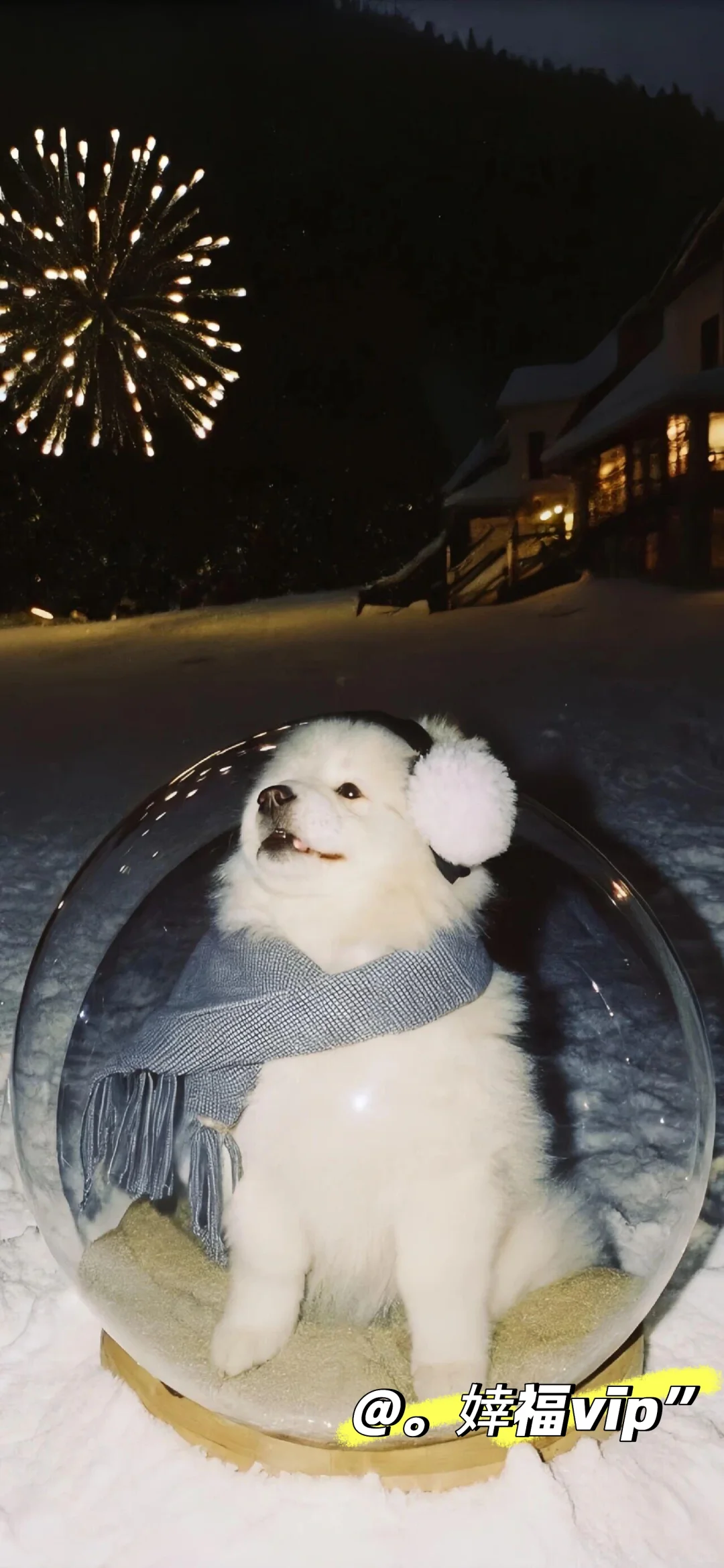 每日壁纸｜❄️❄️❄️