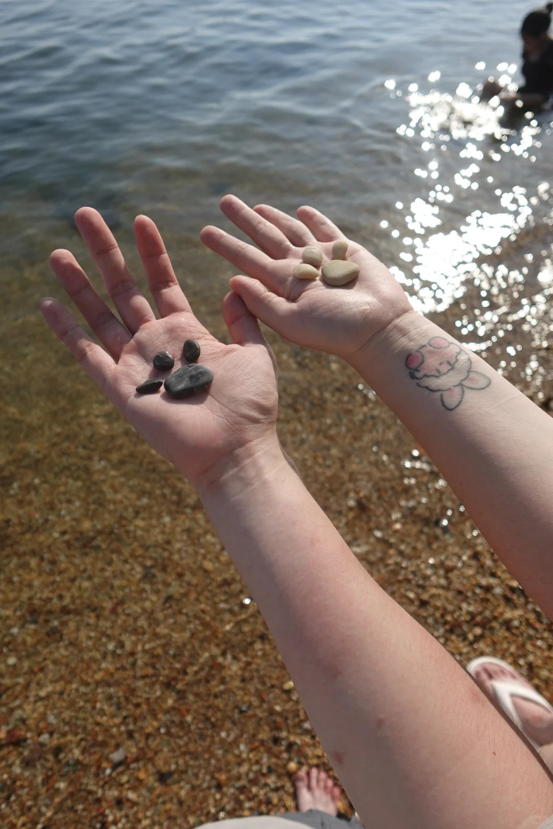 𓇼去海边啦 ོ 𓊝 ｜.🐚