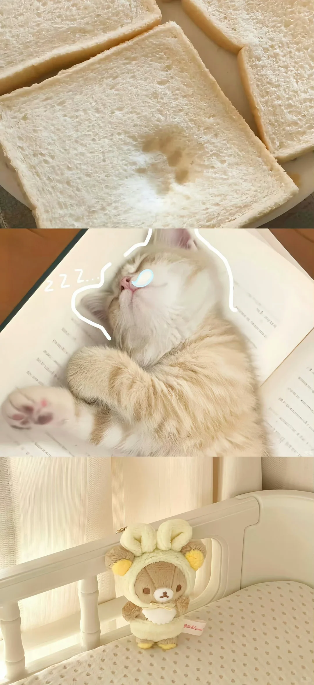 share🍥|可爱壁纸⊹✮₊⋆