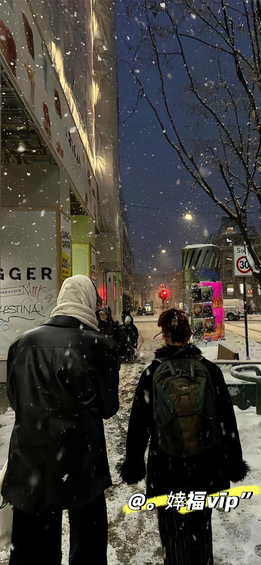 每日壁纸｜❄️❄️❄️