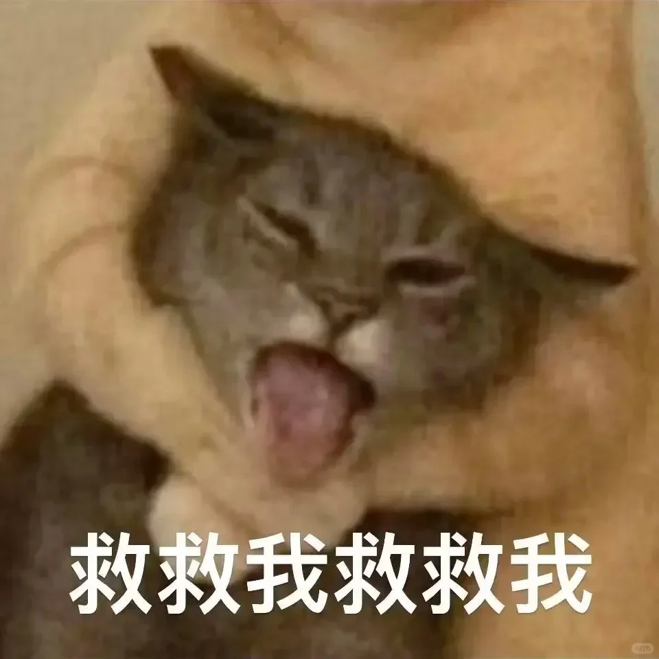 真的好喜欢这个表情包啊啊啊啊阿