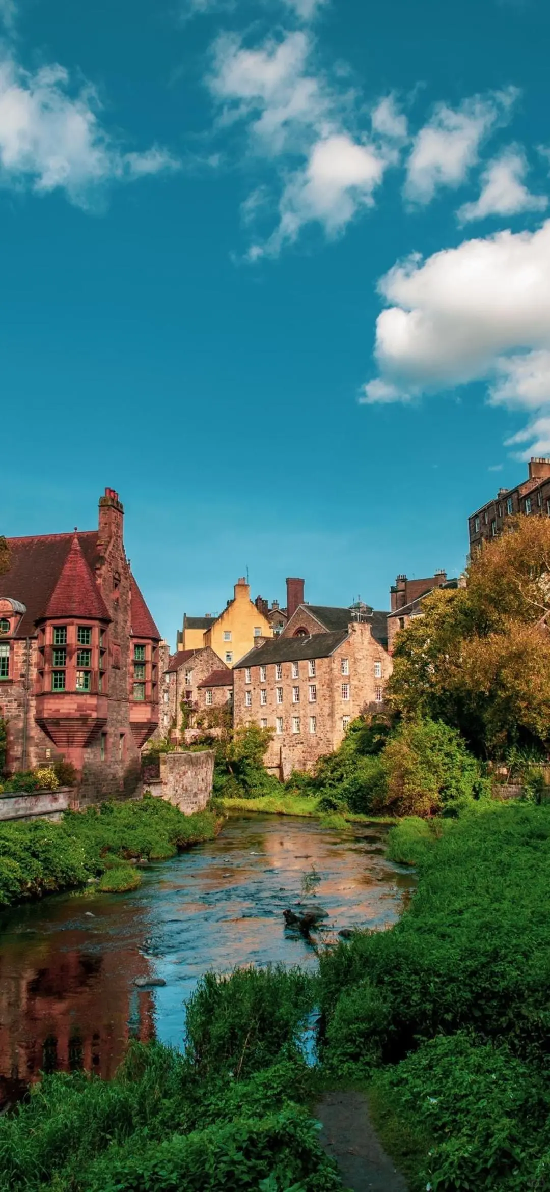 壁纸分享、手机壁纸