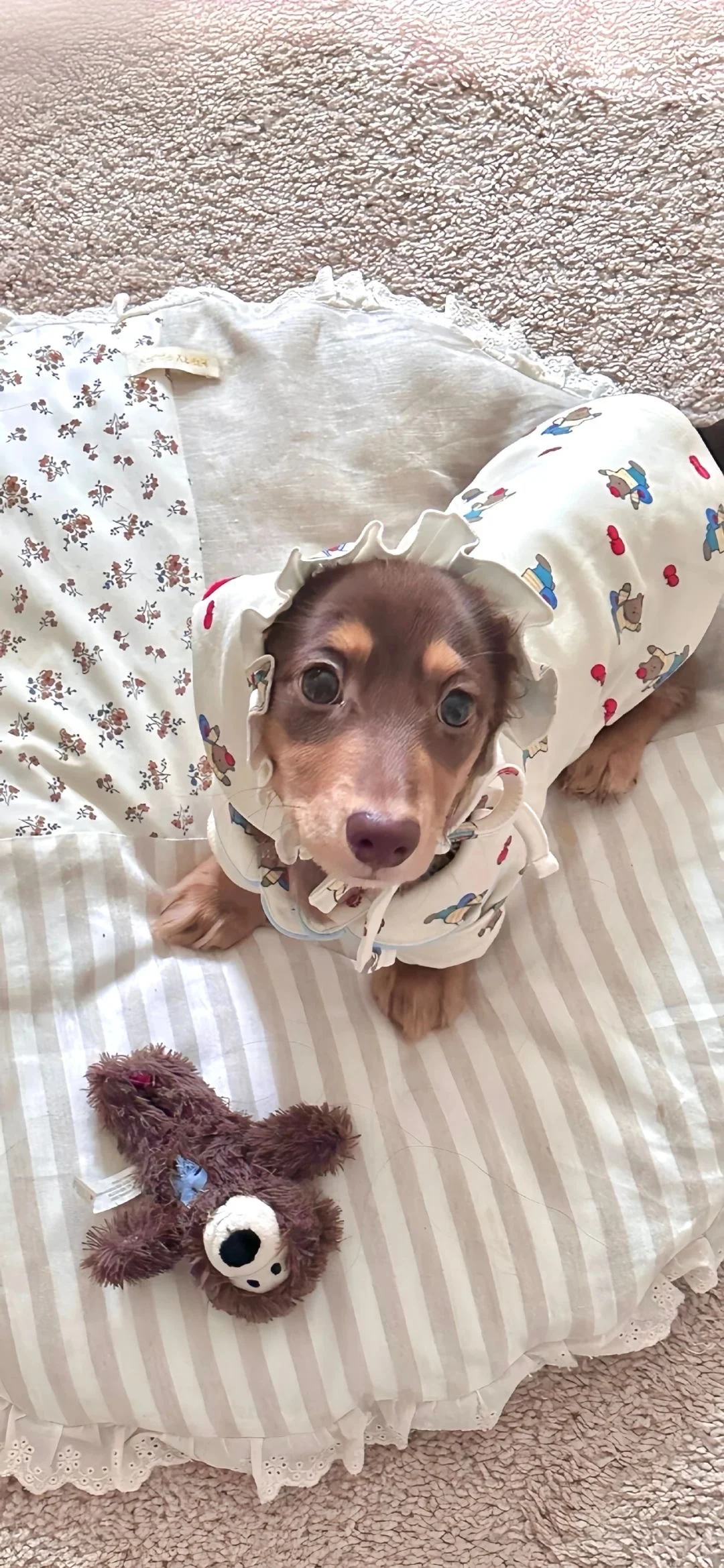 🌊｜高清壁纸🌊