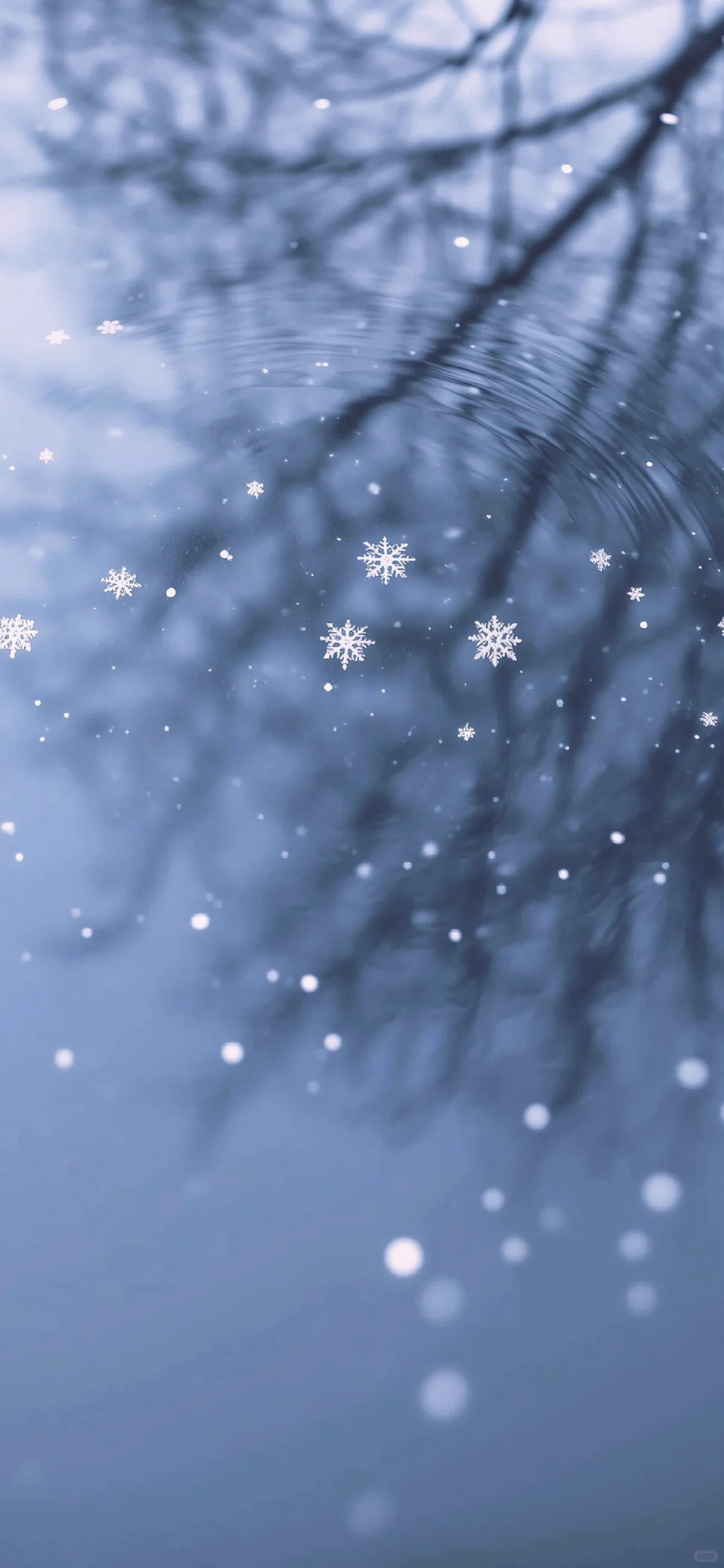 冬天の雪景壁纸❄☃︎ *❆