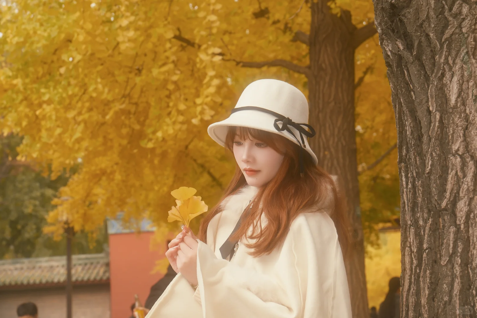 北京地坛银杏｜富士女摄免费拍📸 谁懂啊！