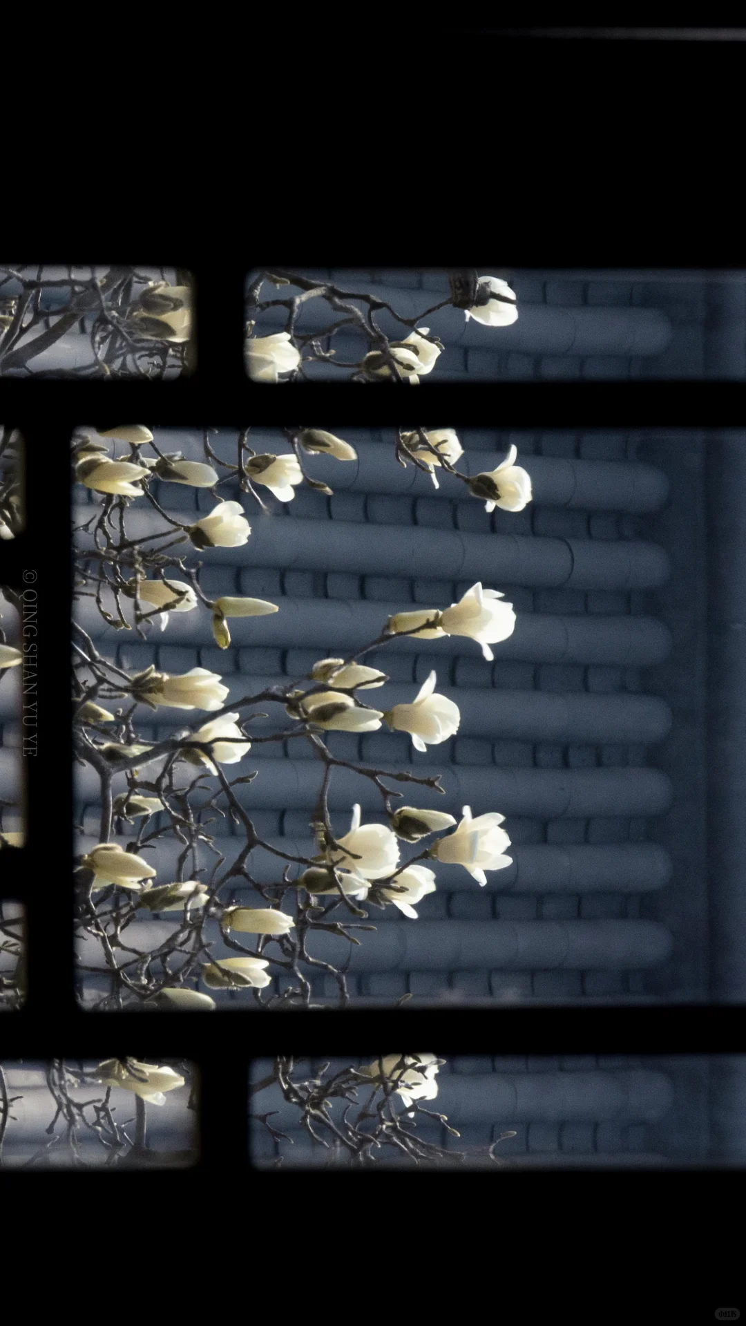 全屏封神挑战｜来看看18岁女摄拍的南京