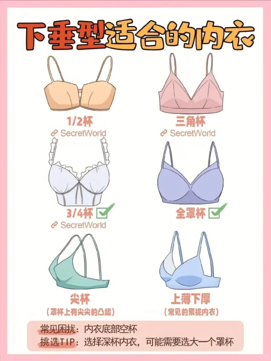 你真的是小🐻吗？看完这一篇就够了👙