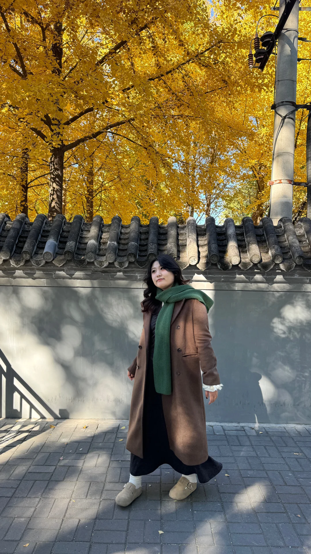 140斤微胖！我宣布！我就是🔗大王