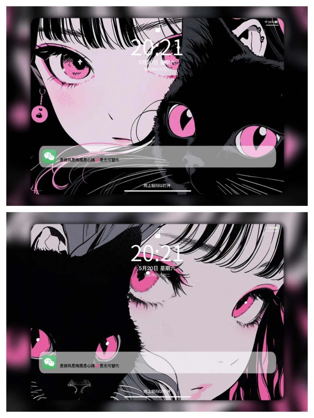 Share | 𝒊𝒑𝒂𝒅壁纸 黑猫