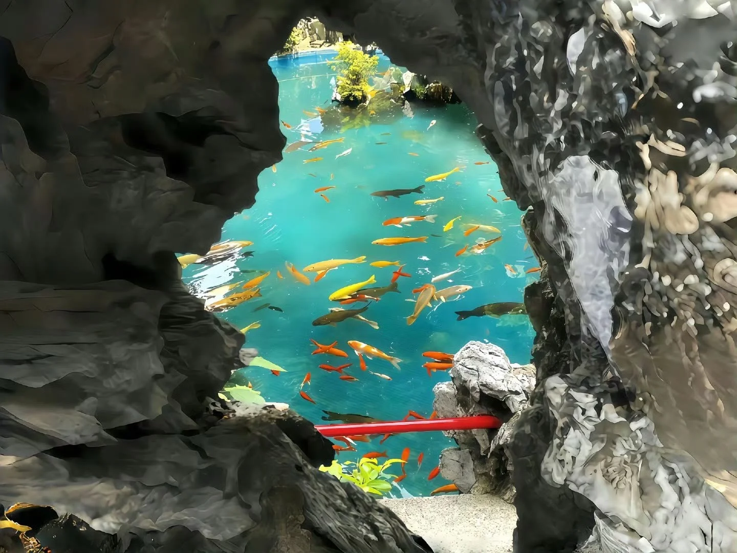 𝑺𝒉𝒂𝒓𝒆 | iPad壁纸