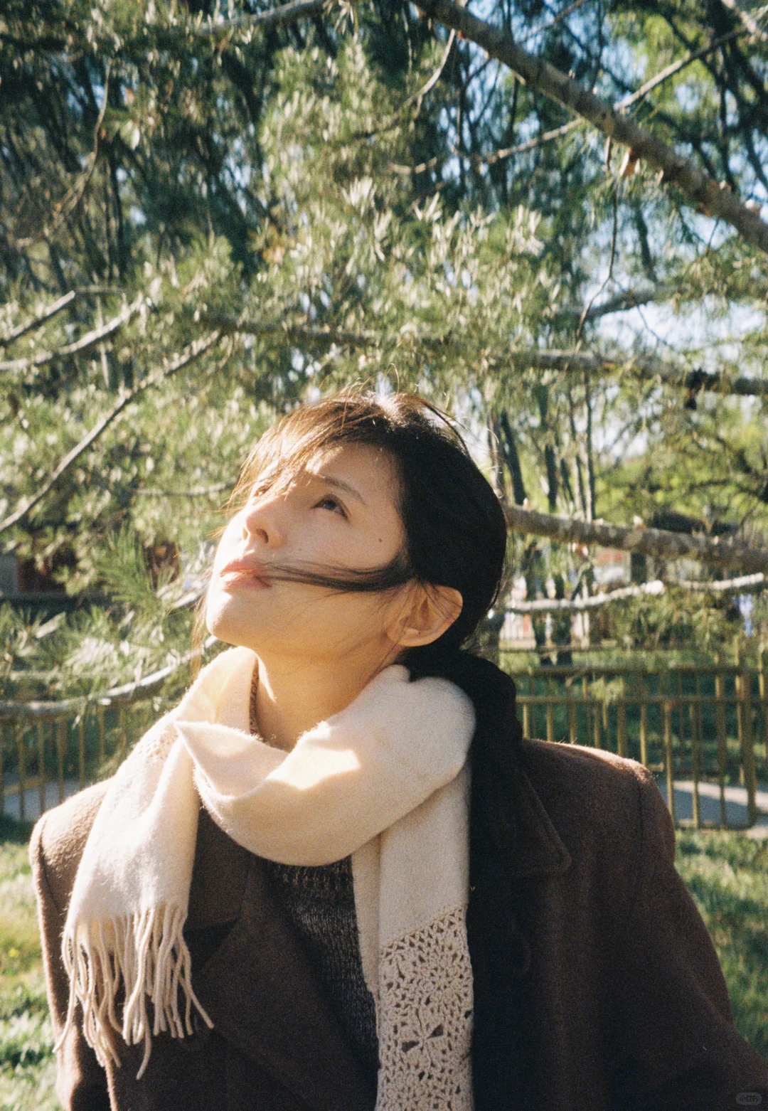 鹤男秋日氛围感写真