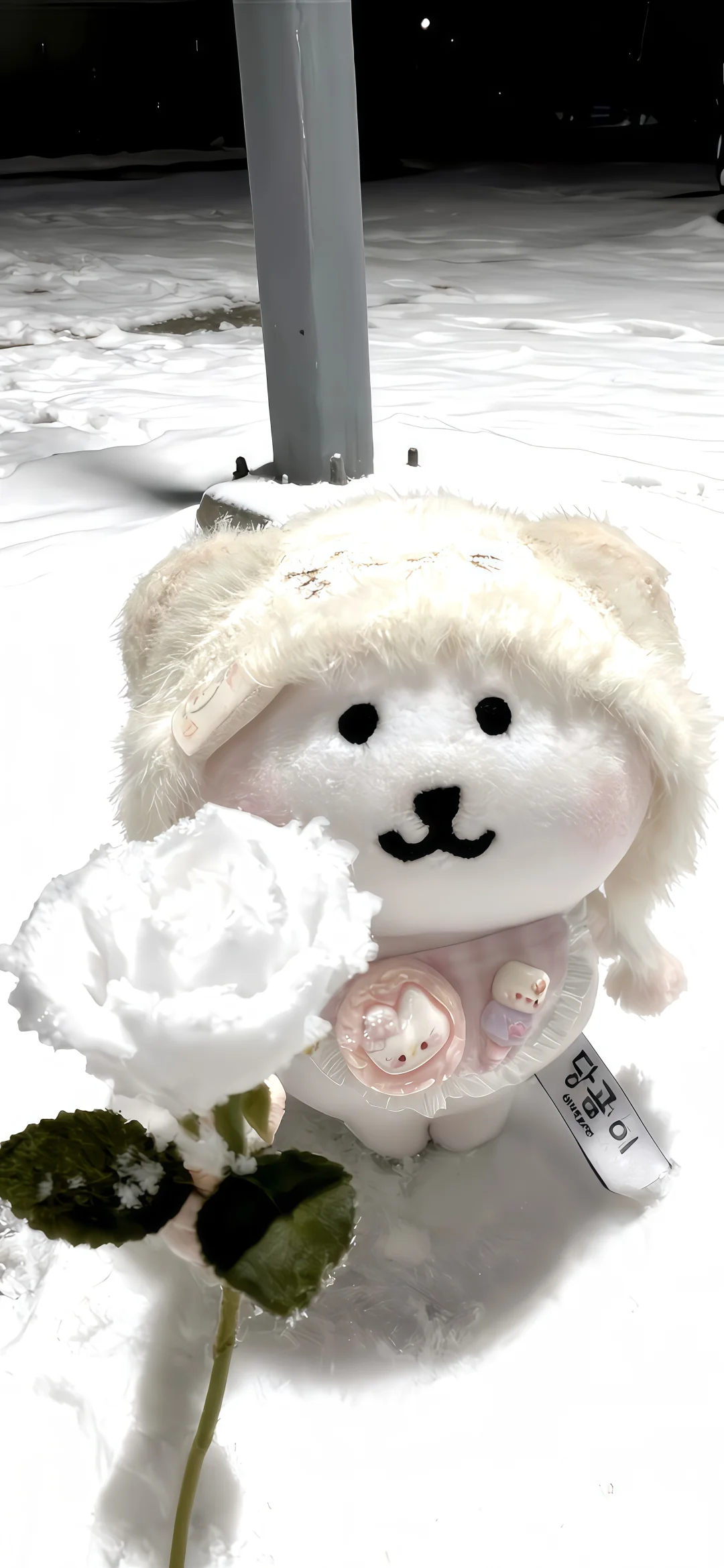 𝑺𝒉𝒂𝒓𝒆｜自用壁纸分享