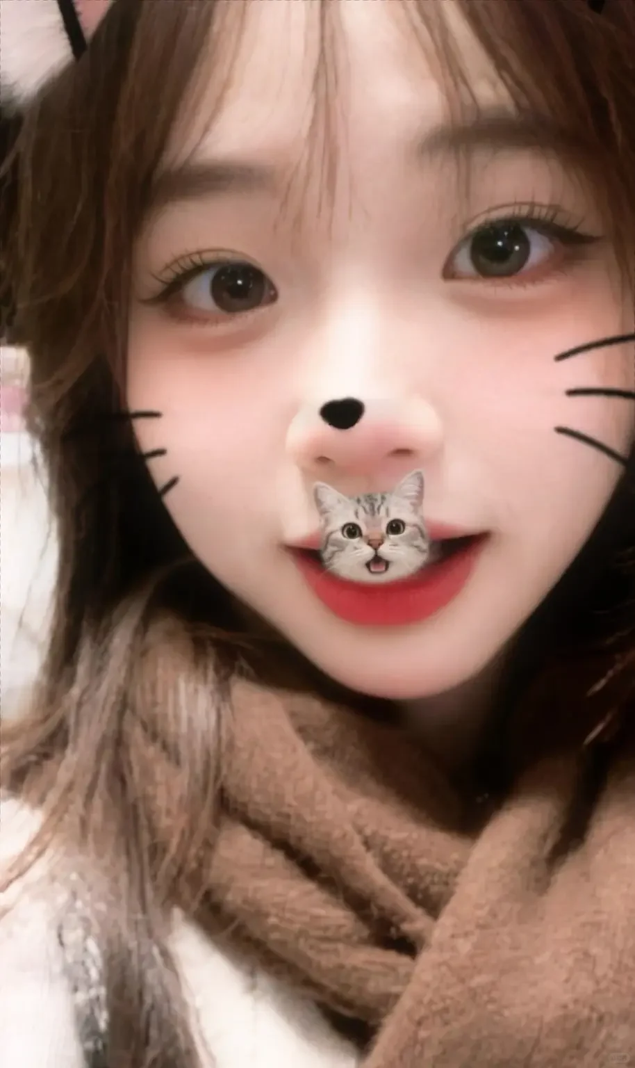 在小小的世界里 做快乐的人