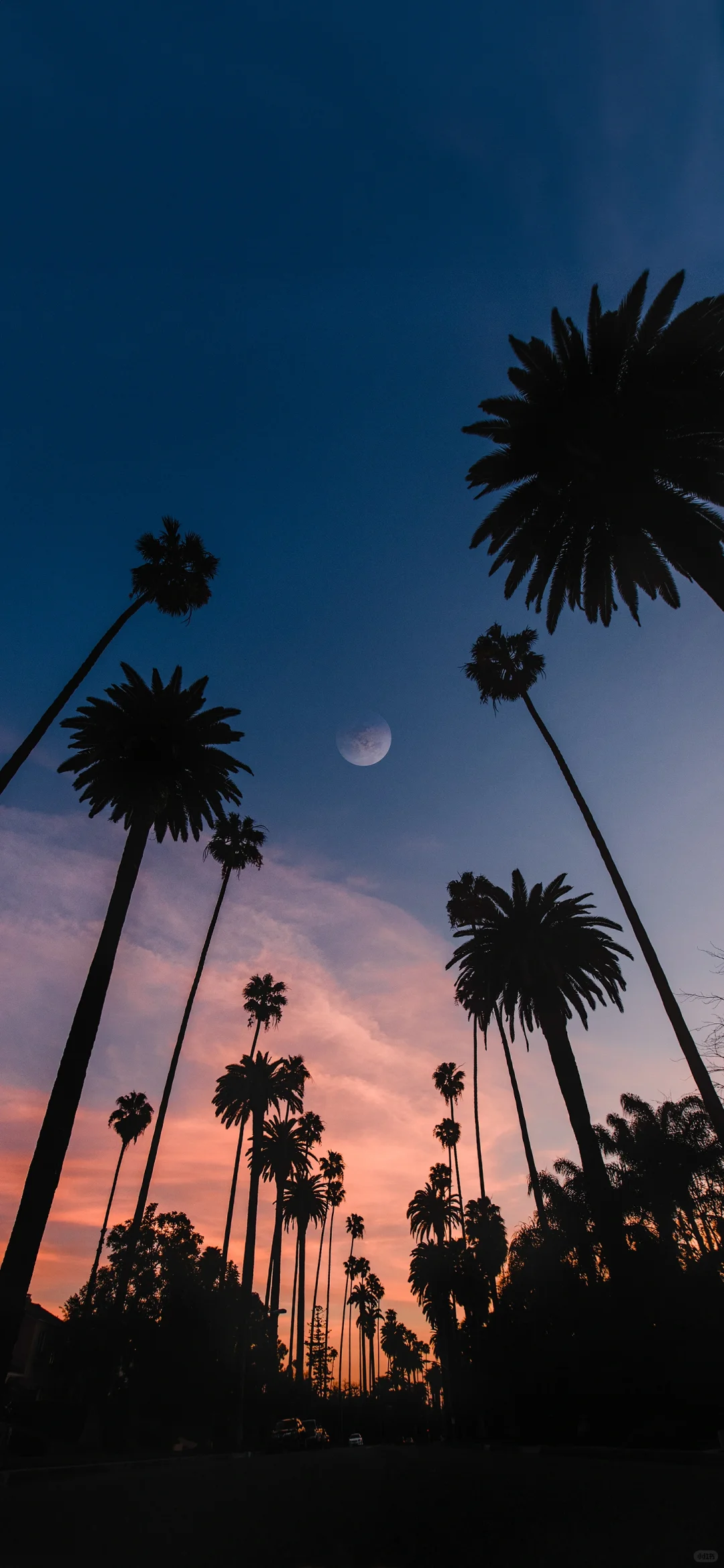 景深壁纸｜4k 合集