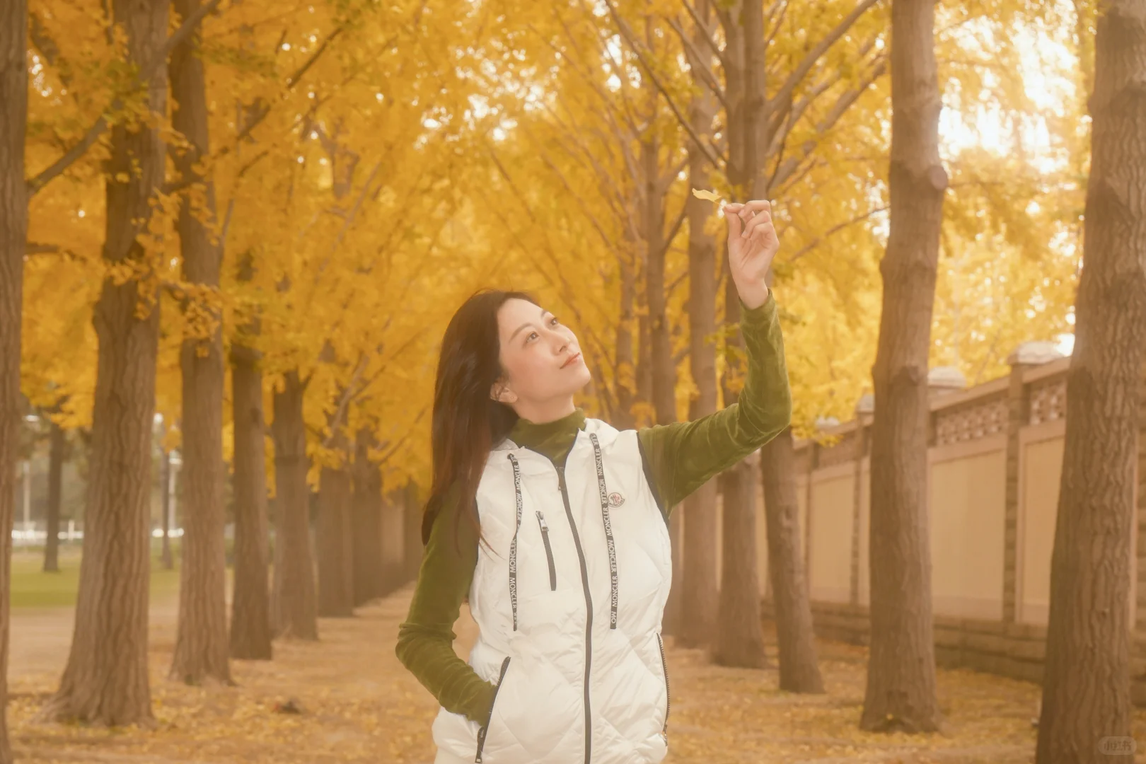 北京地坛银杏｜富士女摄免费拍📸 谁懂啊！