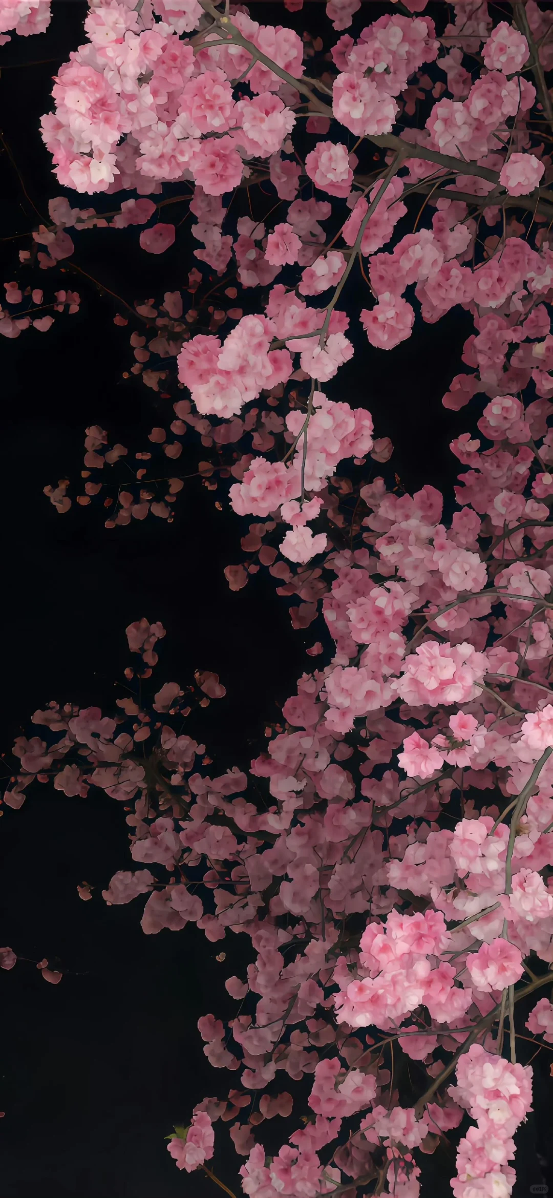 iPhone17 | iOS26裸眼3D景深壁纸