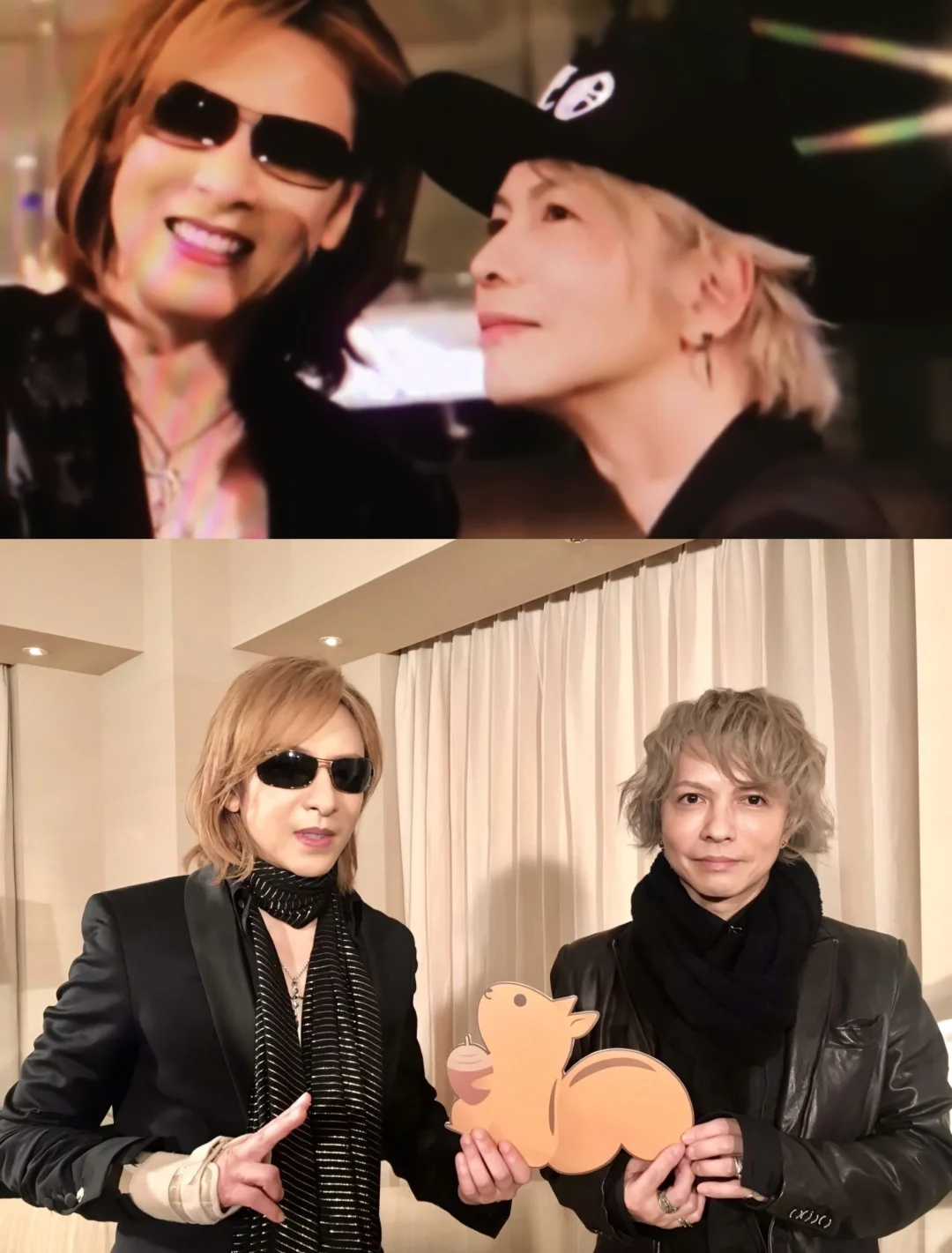 撒娇是小猫最好的嫁妆 ⁺ฅ😽ฅ⁺