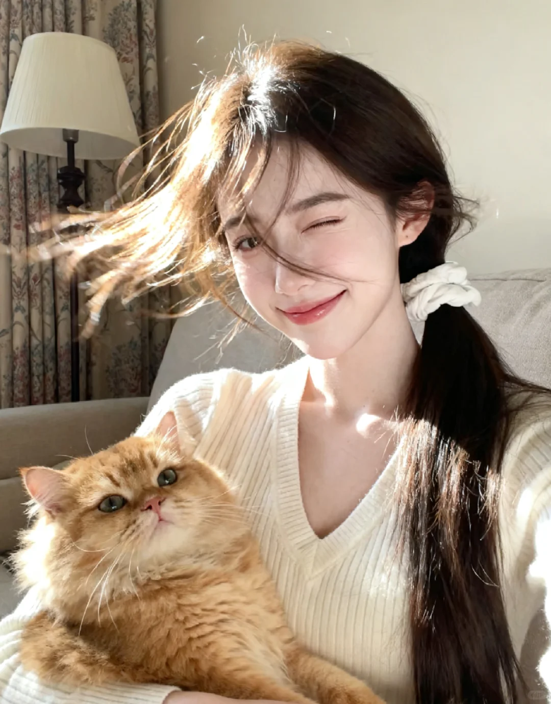 谁能拒绝会陪我晒太阳的橘猫呢✨