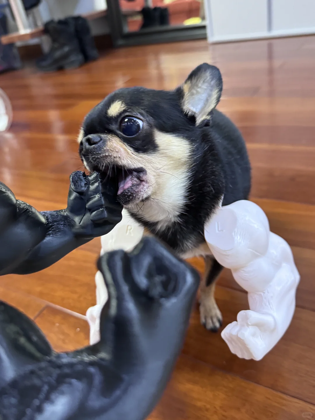 听说女人都喜欢肌肉💪🏻