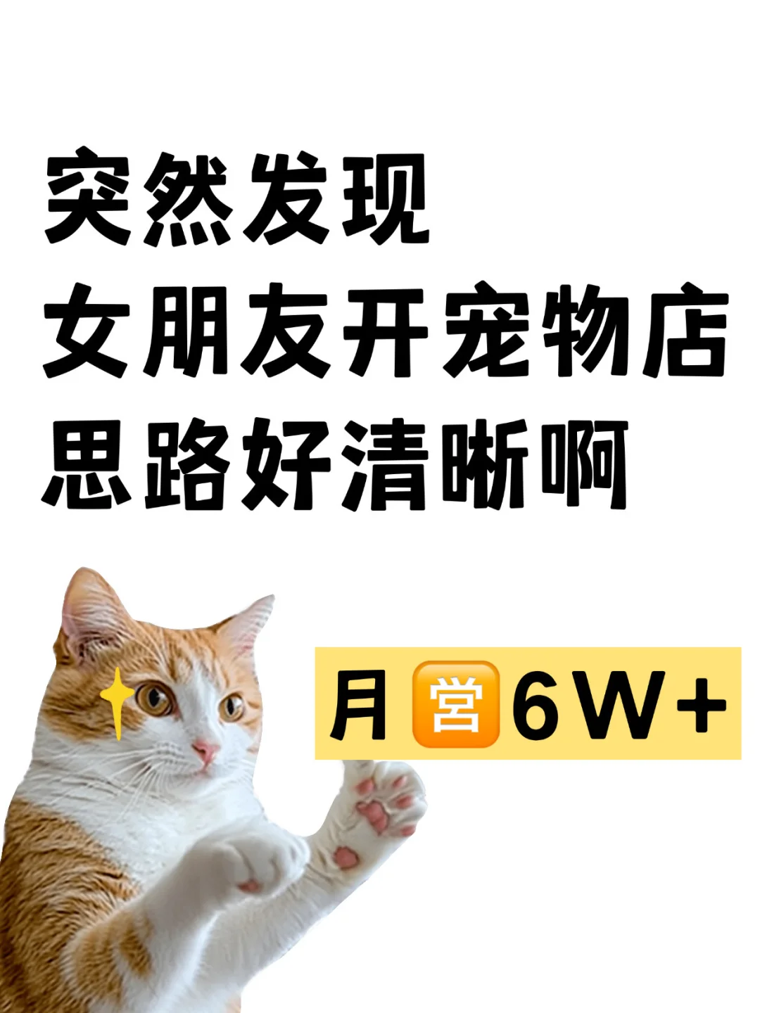 突然发现，女朋友开宠物店的思路好清晰啊！