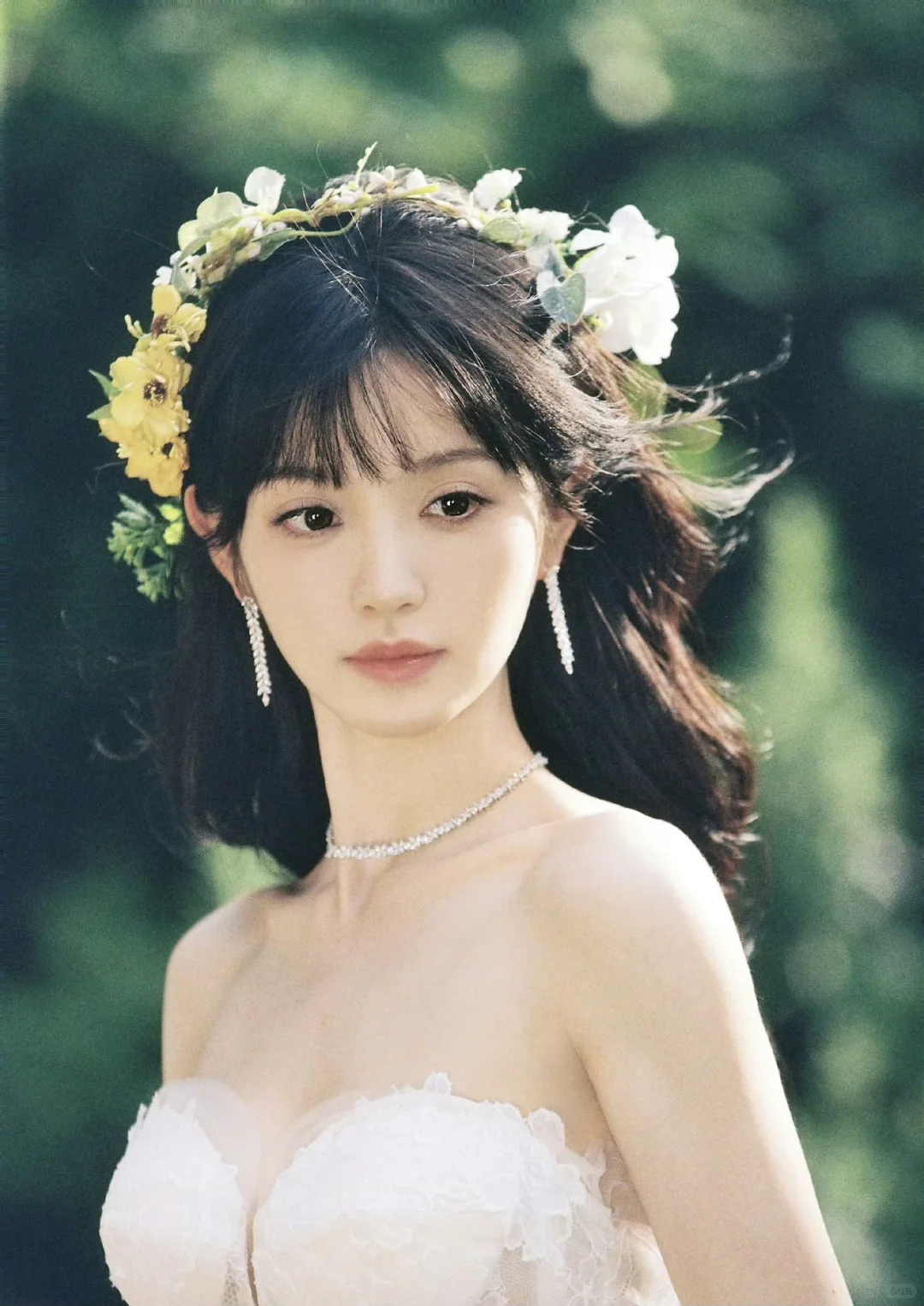 田曦薇-夏日开端野蔷薇