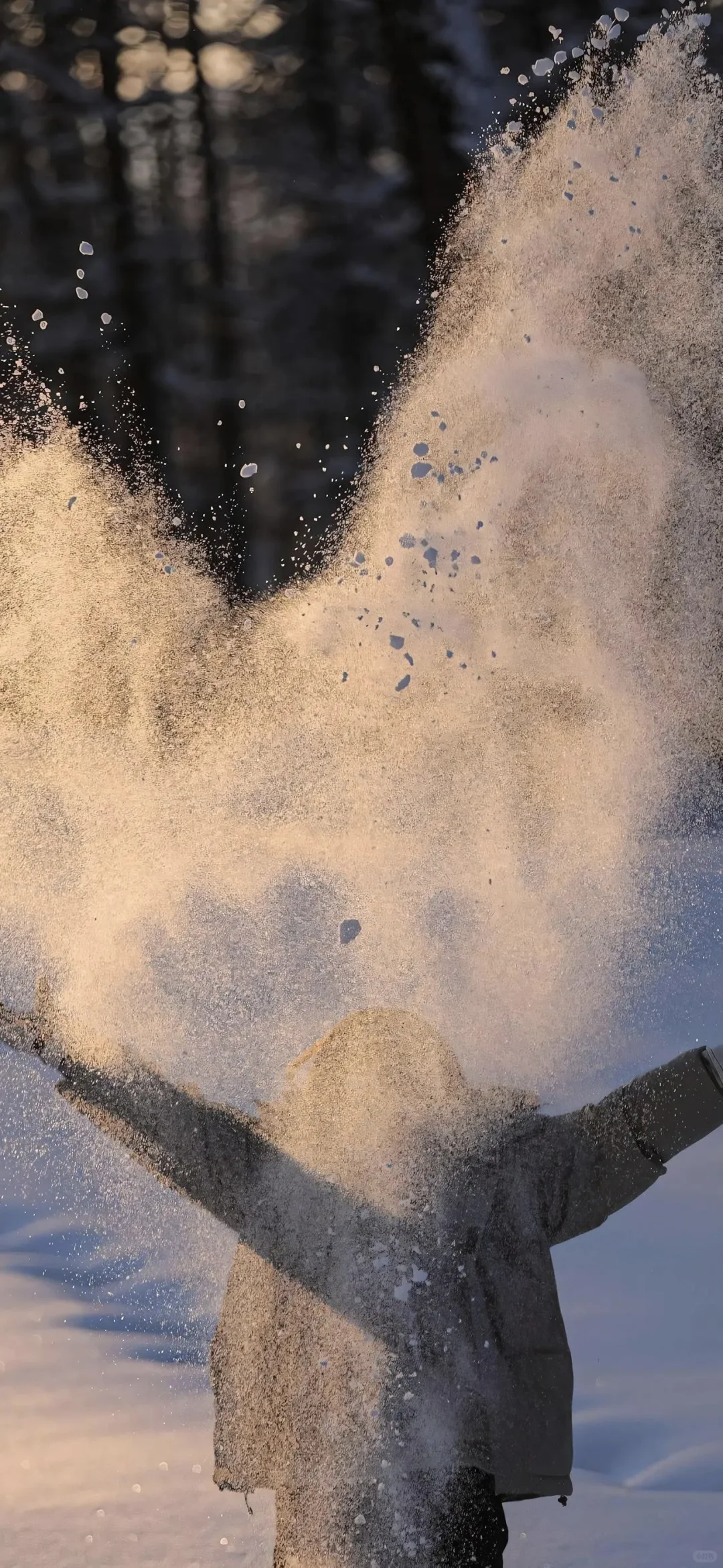 share | ins风清冷感壁纸