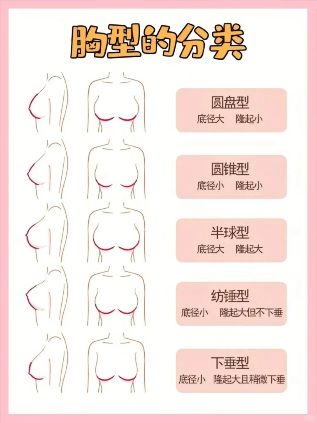 你真的是小🐻吗？看完这一篇就够了👙