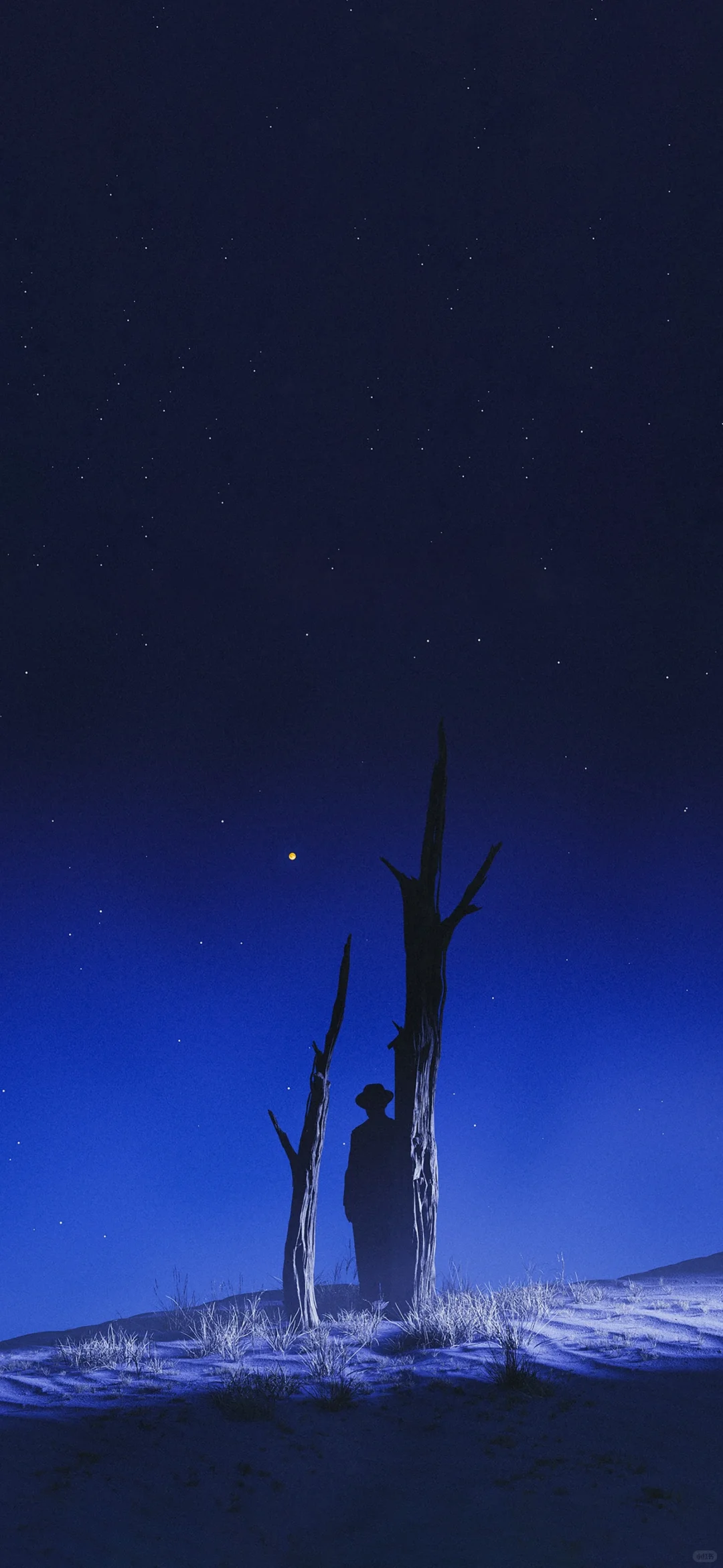 被你发现了宝藏壁纸