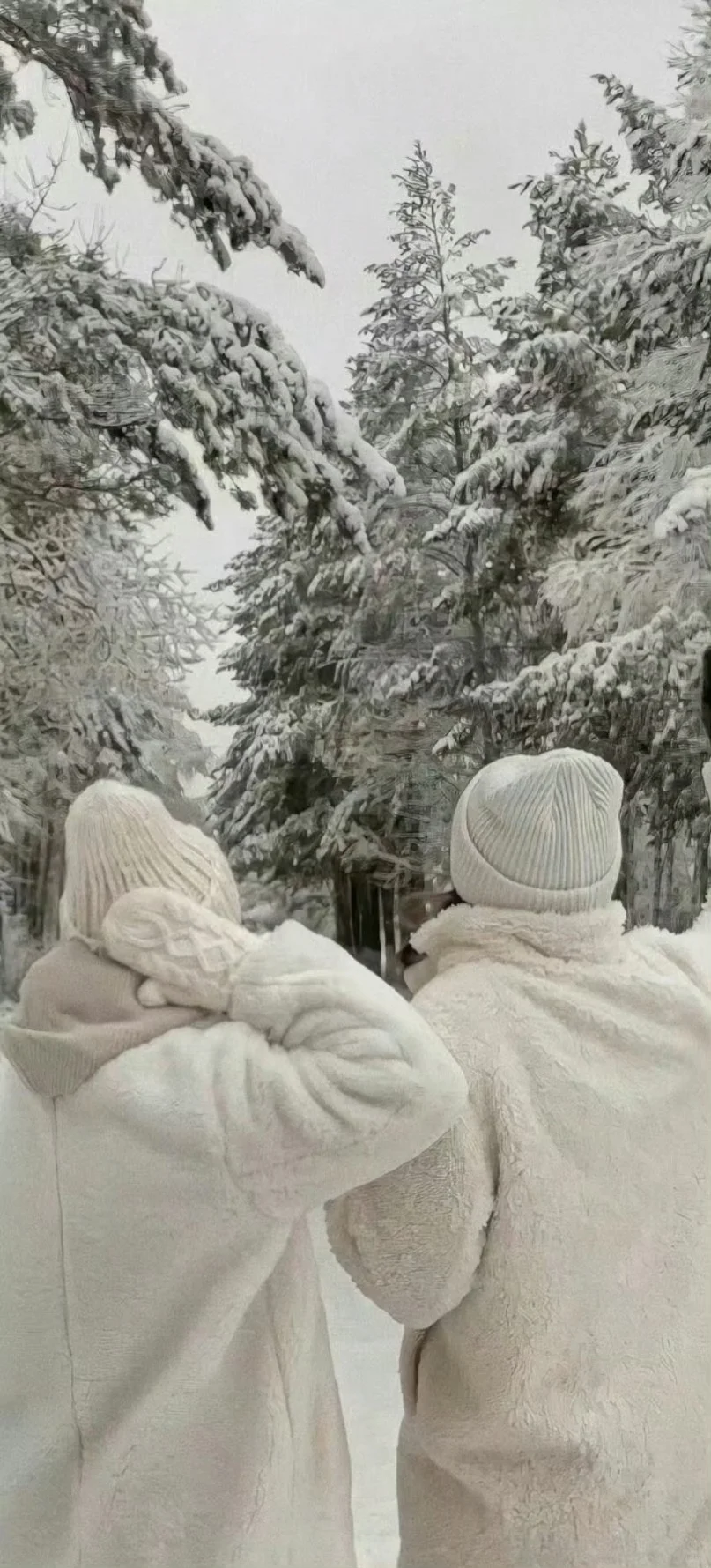 高清雪天氛围感壁纸